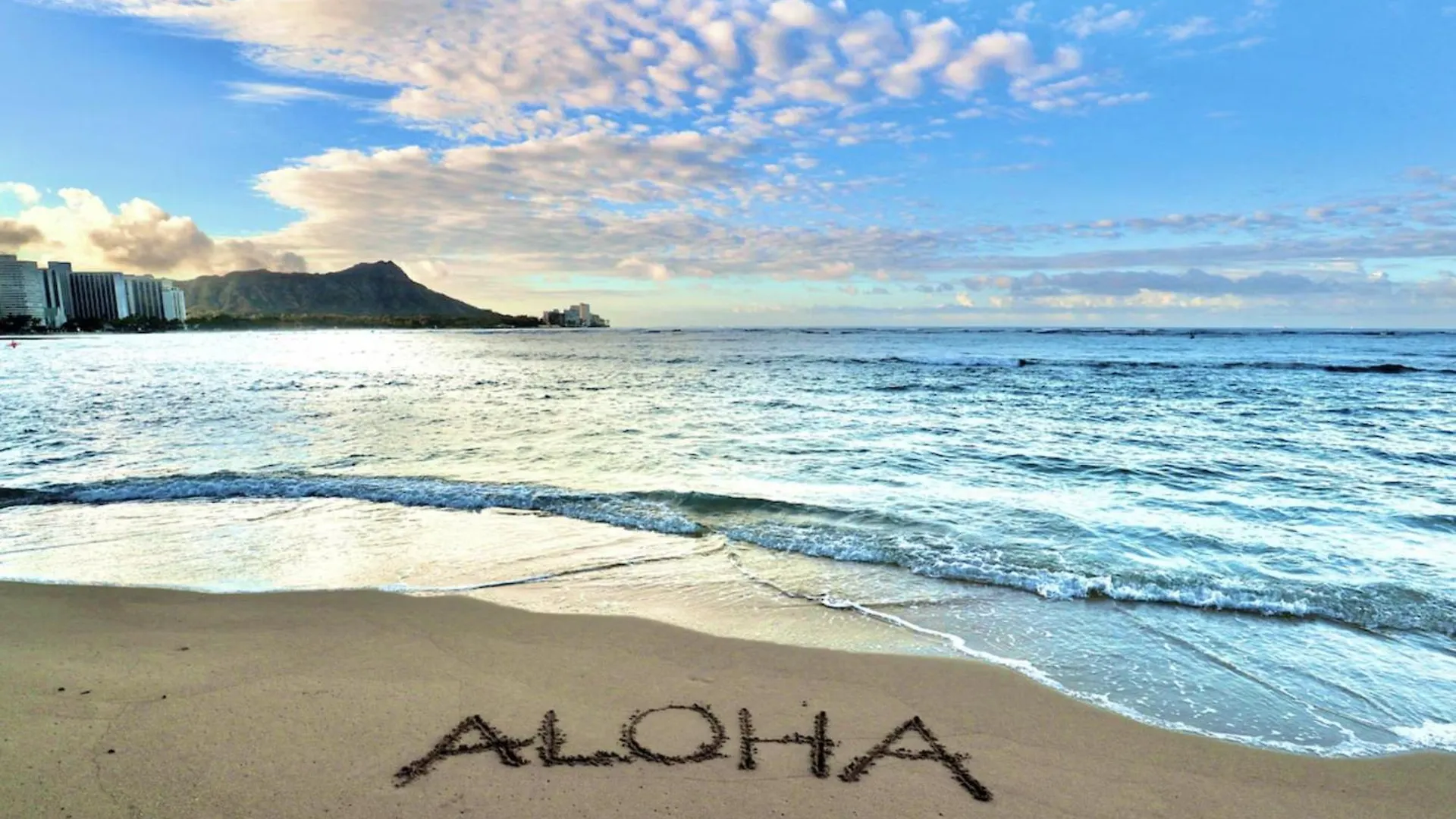 Daire Newly Renovated Oceanview Luxe Stay With Free Parking Honolulu